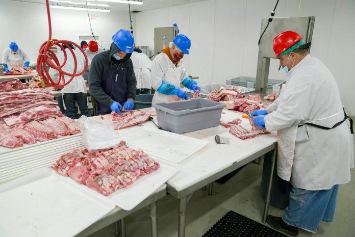 Irish beef processing facility showing production line operations for European export markets