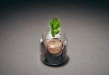 Enterprise Ireland Drives Sustainability Push for Irish Exporters Modern sustainable Irish business facility with green technology and renewable energy infrastructure